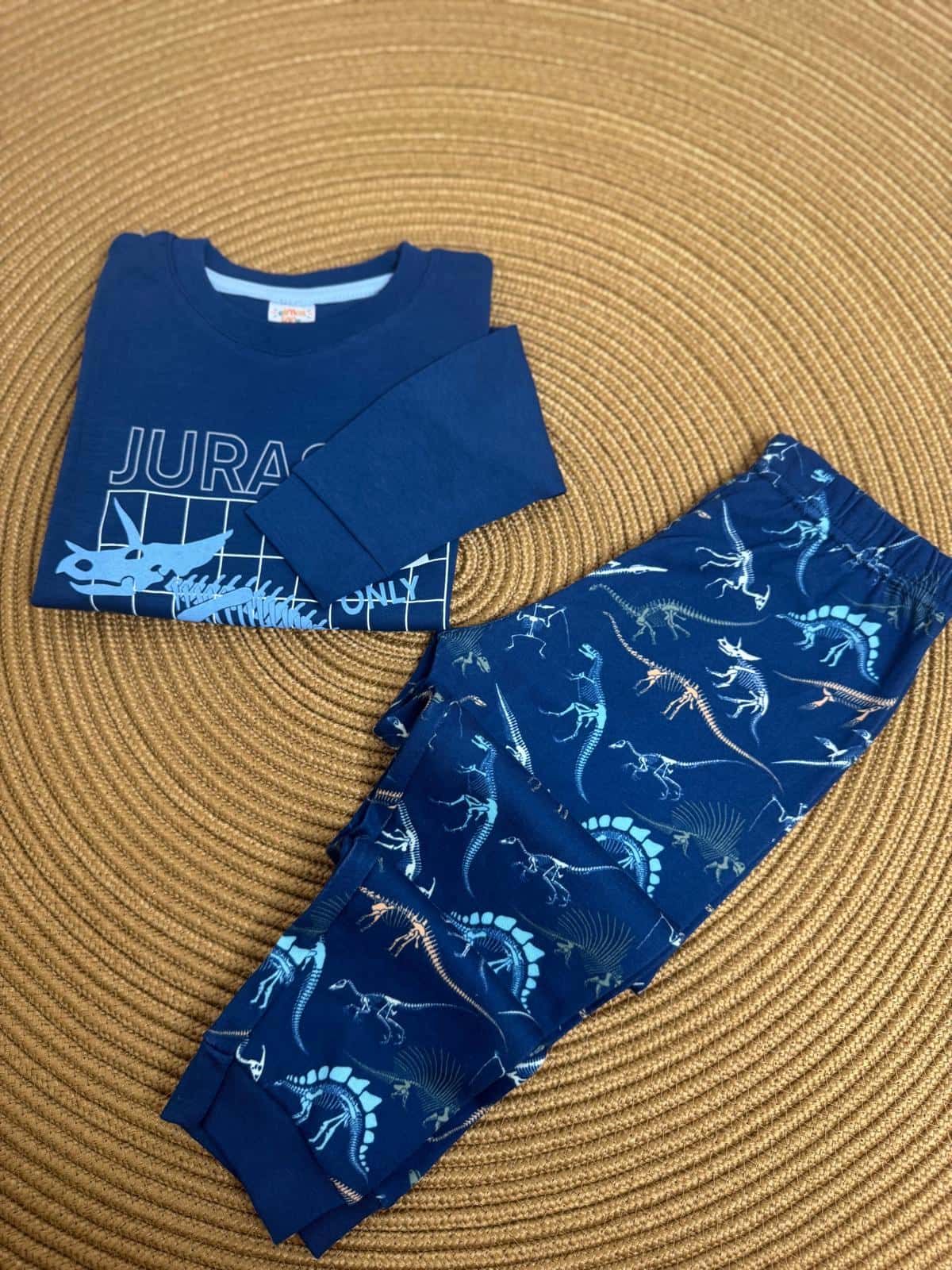 Jurassıc World Baskılı Erkek Çocuk Pijama Takımı